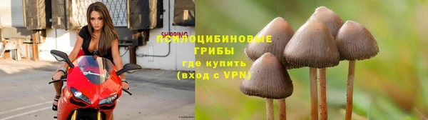 дживик Балабаново