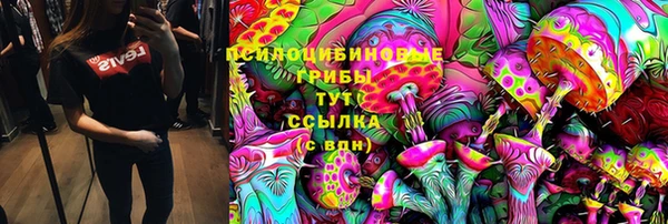 2c-b Усолье-Сибирское