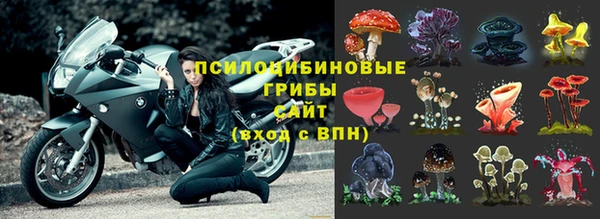 дживик Балабаново