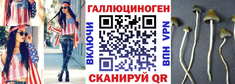 закладки  блэк спрут как войти  Галлюциногенные грибы прущие грибы  Северск 