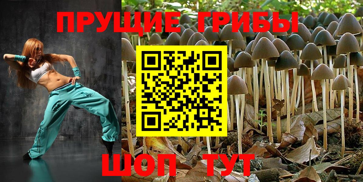 Псилоцибиновые грибы MAGIC MUSHROOMS Северск