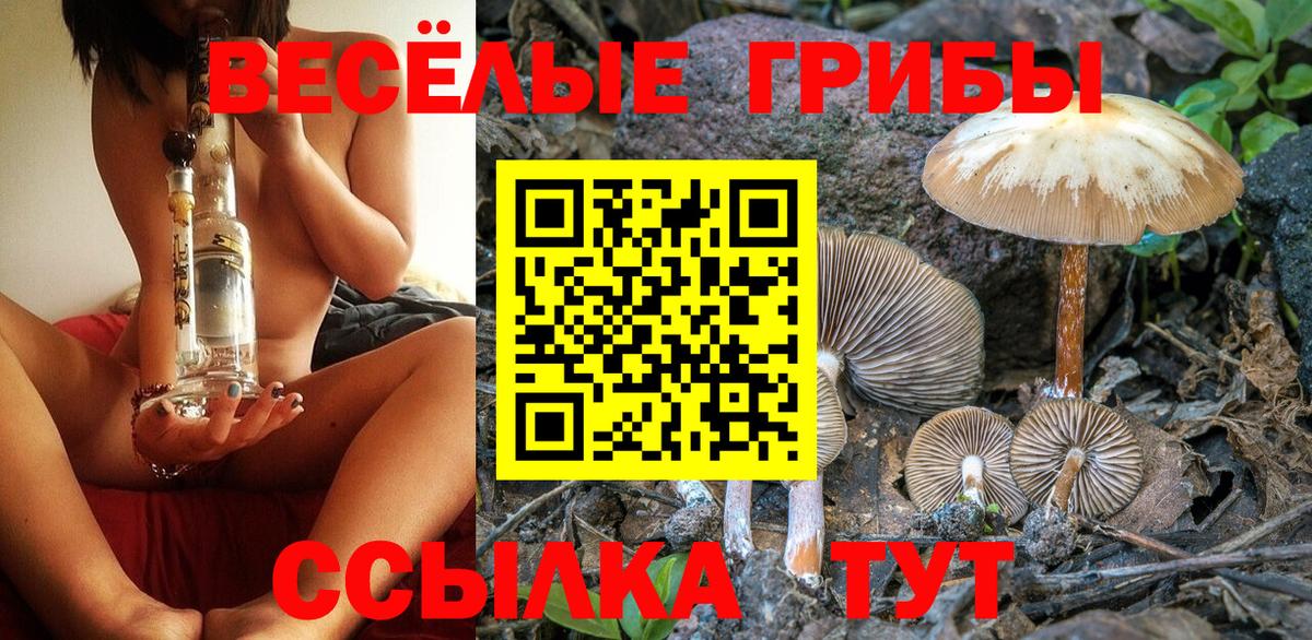 Северск  Галлюциногенные грибы Psilocybe  Вход с VPN 